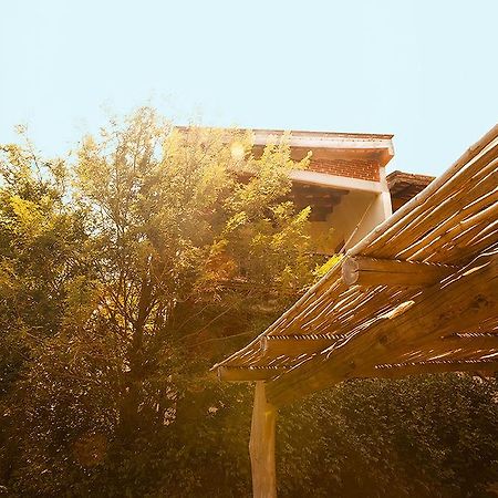 Отель Casa Huijazoo Nature & Balance Масунте Экстерьер фото